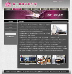 誠一公司仿皮銀包工廠網站初稿制作 網頁設計簡潔與大氣的極致平衡