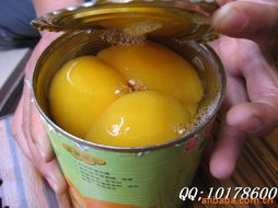 江蘇銅山縣聯民食品加工廠 水果罐頭與水果干制品產品概覽